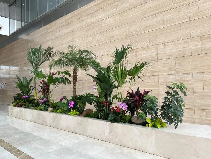 慈溪花卉出租设计 慈溪花卉出租设计